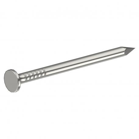 Stainless steel nail, smooth, flat head A2 [AISI 304] (RV013)