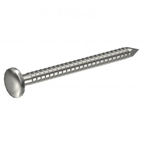 Stainless steel nail, ring grooved, half round head A2 [AISI 304] (RV034) 25 | 1.9