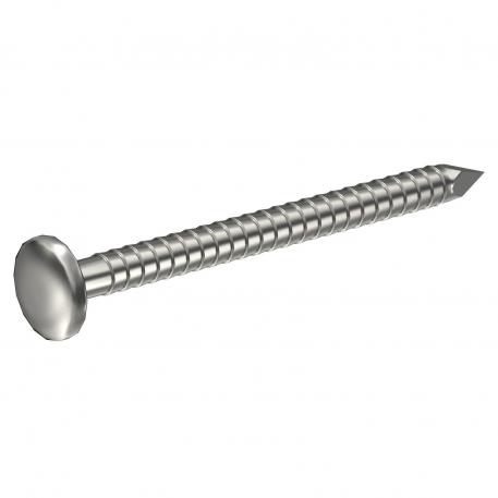 Stainless steel nail, ring grooved, half round head A4 [AISI 316] (RV 037/RV052) 45 | 2.5