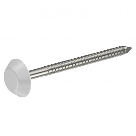 Polyhead stainless steel nail ring shank grooved, with polymeer head white A4 [AISI 316] (RV038) 65 | 3.35